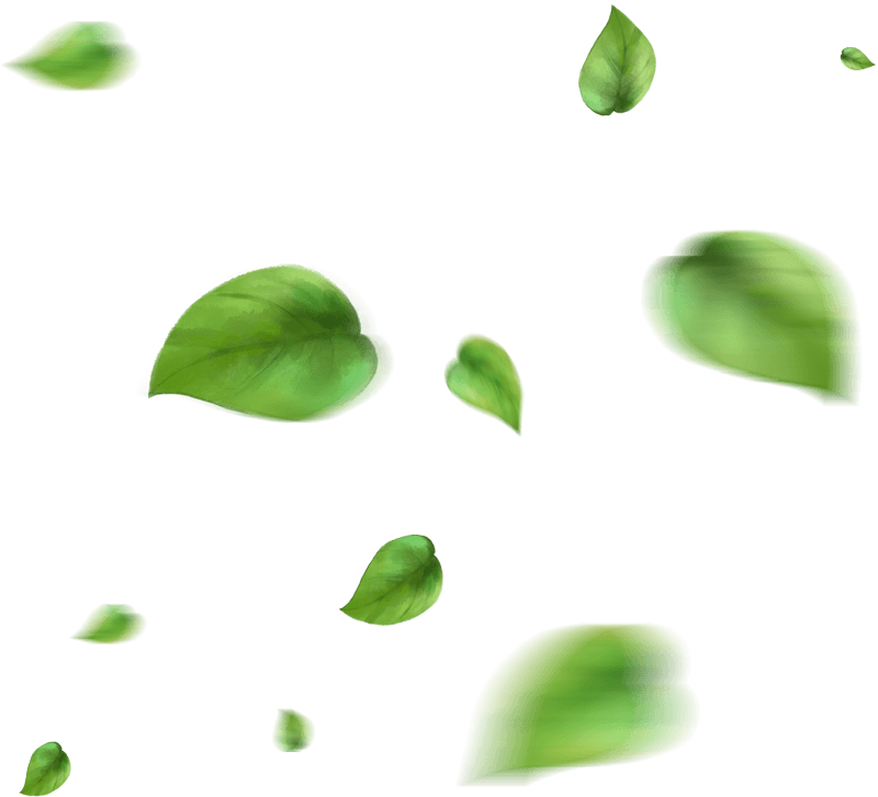 leaf